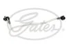 PRZEWрD PALIWOWY DB C250 2,5 GATES MFL1172 (фото 1)