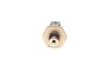 Елемент системи Common Rail BOSCH F00R004269 (фото 3)