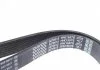 Ремень поликлиновой (Пр-во Dayco) DAYCO 7PK1557S (фото 3)