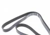 Ремень поликлиновой (Пр-во Dayco) DAYCO 7PK1557S (фото 4)