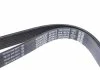 Ремень поликлиновой (Пр-во Dayco) DAYCO 7PK1557S (фото 5)