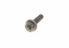 РМК ГРМ Z=135 + ролики AUDI/SEAT/VW 80/Cordoba/Imiza/Toledo/Golf/Jetta/Multivan/Passat \'\'1.9 \'\'89-03 BOSCH 1987946325 (фото 9)