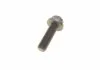 РМК ГРМ Z=135 + ролики AUDI/SEAT/VW 80/Cordoba/Imiza/Toledo/Golf/Jetta/Multivan/Passat \'\'1.9 \'\'89-03 BOSCH 1987946325 (фото 10)