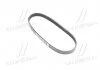Ремень поликлиновой (Пр-во Dayco) DAYCO 6PK803K (фото 1)