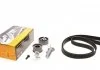Комплект пасу ГРМ Audi A4/A6/ VW Passat 2.4-2.8 95 CONTITECH CT920K2 (фото 1)