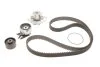 Набір ГРМ, пас+ролик+помпа SKF VKMC02194