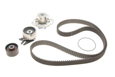 Набір ГРМ, пас+ролик+помпа SKF VKMC02194