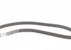 Комплект пасу ГРМ Skoda Fabia/VW Polo/Seat Ibiza 1 CONTITECH CT1044K2 (фото 15)