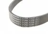 PASEK WIELOROWKOWY CONTITECH 7PK1338 (фото 2)