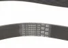 PASEK WIELOROWKOWY CONTITECH 7PK1338 (фото 3)