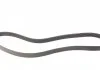 PASEK WIELOROWKOWY CONTITECH 7PK1338 (фото 5)