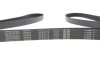 Ремень поликлиновой DAYCO 6PK2175 (фото 4)