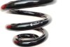 SPRÊ¯YNA ZAWIESZENIA SEAT EIBACH R10604 (фото 2)