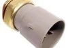 Термовимикач вентилятора DELPHI TS10297 (фото 1)