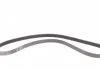 ZESTAW PASKA W/KLINOWEGO CONTITECH 7PK1605K1 (фото 12)