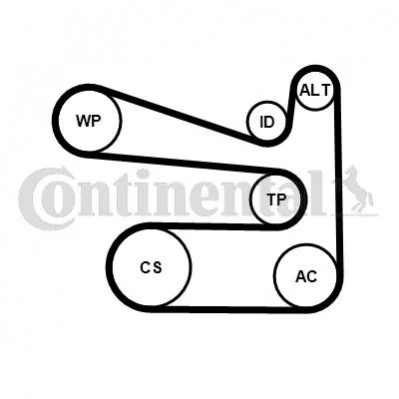 ZESTAW PASKA W/KLINOWEGO CONTITECH 6PK1693K1 (фото 1)