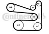 ZESTAW PASKA W/KLINOWEGO CONTITECH 6PK1693K1 (фото 1)