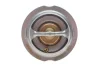 Термостат VW 95C 1,8-2,0 DAYCO DT1031V (фото 4)