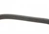 ZESTAW PASKA W/KLINOWEGO CONTITECH 6PK1698K1 (фото 3)