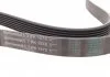 ZESTAW PASKA W/KLINOWEGO CONTITECH 7PK1570K1 (фото 2)