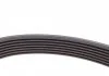 ZESTAW PASKA W/KLINOWEGO CONTITECH 7PK1570K1 (фото 7)