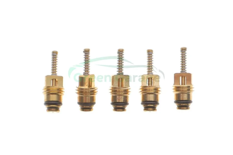 Zaworek Standard 21,8x8 MAGNETI MARELLI 007950024470 (фото 1)