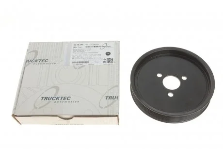 Шкив насоса ГУ, TDI-CDI TRUCKTEC 0219256