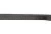 PASEK W/KLINOWY GATES 5PK1698 (фото 3)