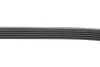 PASEK W/KLINOWY GATES 5PK1698 (фото 3)