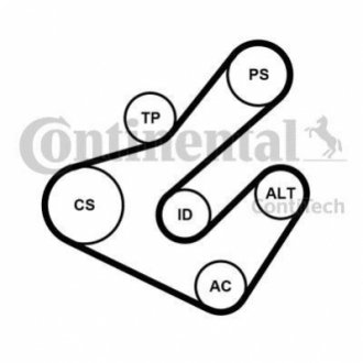 ZESTAW PASKA PK /CONTI/ CONTITECH 7PK1795K2