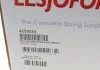 Пружина LESJOFORS 4259234 (фото 6)