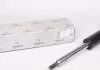 Амортизатор, DB208-316 TRUCKTEC 0230064 (фото 1)