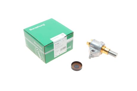 Натягувач ланцюга (OE) BORSEHUNG B1T024