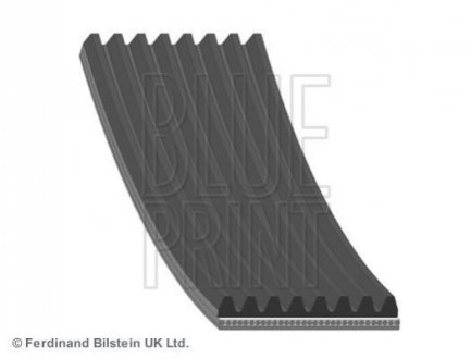 PASEK MICRO-V 8PK1355 BLUE PRINT AD08R1355