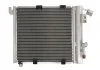 Радіатор кондиціонера THERMOTEC KTT110000 (фото 1)