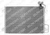 Радіатор кондиціонера DELPHI TSP0225466 (фото 1)