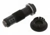 Натяжник ланцюга ГРМ FEBI BILSTEIN 30506