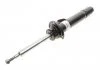 Амортизатор BILSTEIN 22183873 (фото 1)
