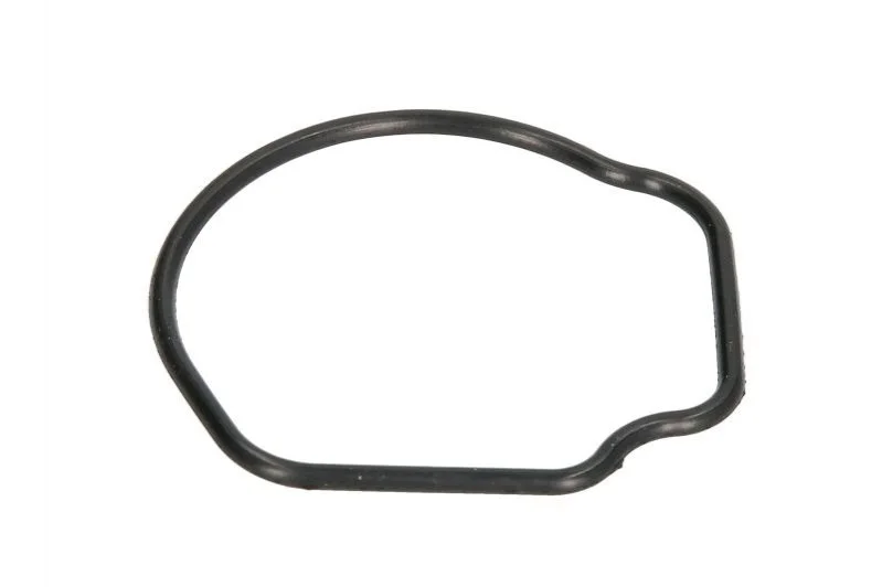 Прокладка термостата CHEVROLET AVEO CITROEN NEMO, NEMO/MINIVAN FIAT 500, 500 C, DOBLO, DOBLO/MINIVAN, GRANDE PUNTO, IDEA, PALIO, PANDA, PANDA/HATCHBACK, PUNTO, PUNTO EVO 1.3D/2.0 06.03- AJUSA 01096800 (фото 1)