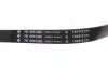 ZESTAW PASKA PK SEAT INA 529050010 (фото 8)