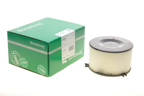 Фiльтр повiтряний OE BORSEHUNG B10549