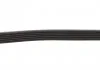Поликлиновые ремни Micro-V StretchFit (Пр-во Gates) GATES 6PK1090SF (фото 3)