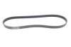 Поліклиновий ремінь BOSCH 1987946128 (фото 5)