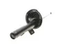 Амортизатор передн лів PEUGEOT 607 2.0-3.0 02.00-07.11 BILSTEIN 22128249 (фото 1)