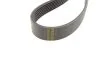 Поліклиновий ремінь BOSCH 1987947995 (фото 2)