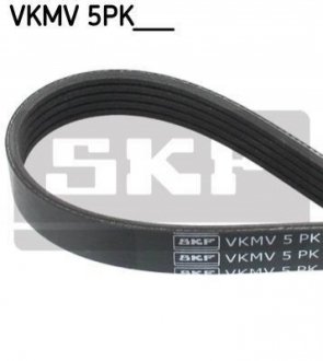 Поліклиновий ремінь SKF VKMV5PK1010