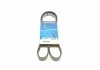 Ремень поликлиновый (пр-во) DAYCO 6PK1345 (фото 2)