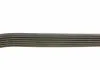 Ремень поликлиновый (пр-во) DAYCO 6PK1345 (фото 4)