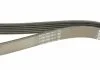 Ремень поликлиновый (пр-во) DAYCO 6PK1345 (фото 5)