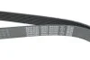 Ремень поликлиновый (пр-во) DAYCO 8PK2285 (фото 4)